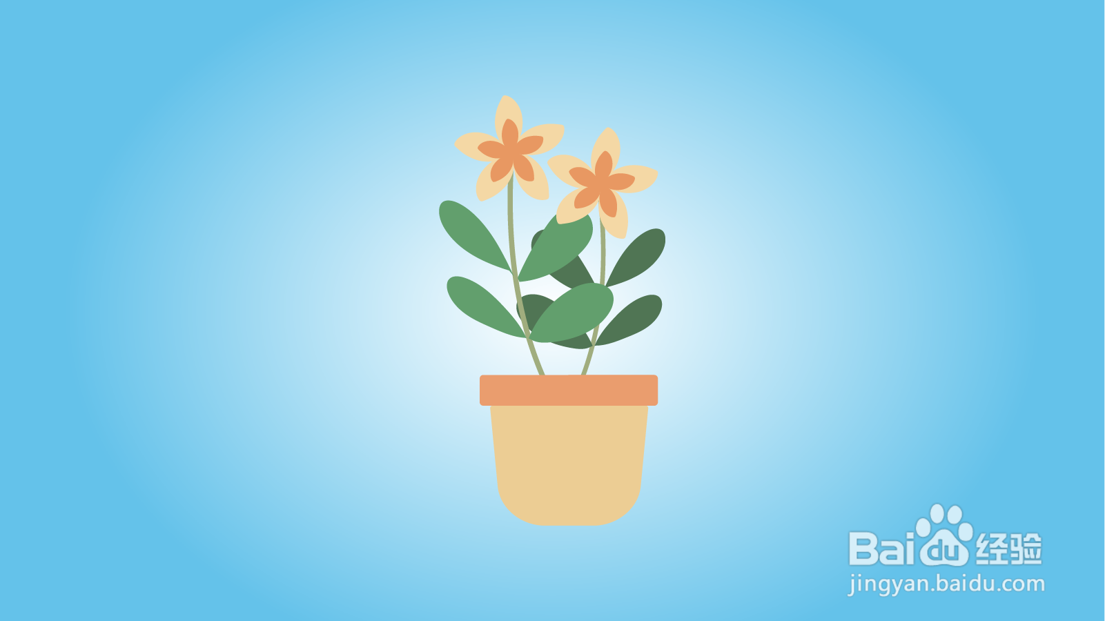 如何画卡通花卉盆栽？