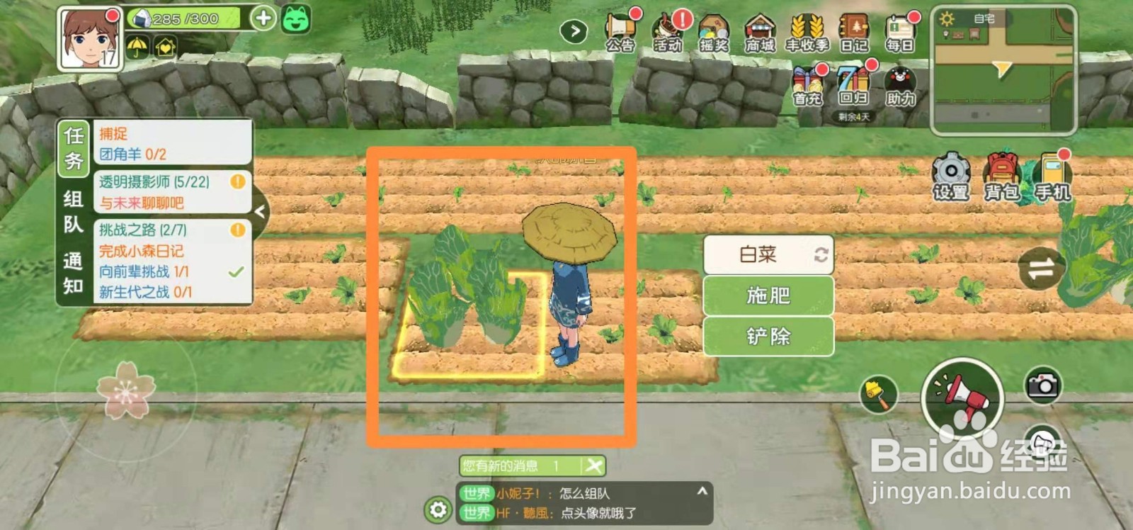 小森生活怎么如何让种植的白菜马上成熟