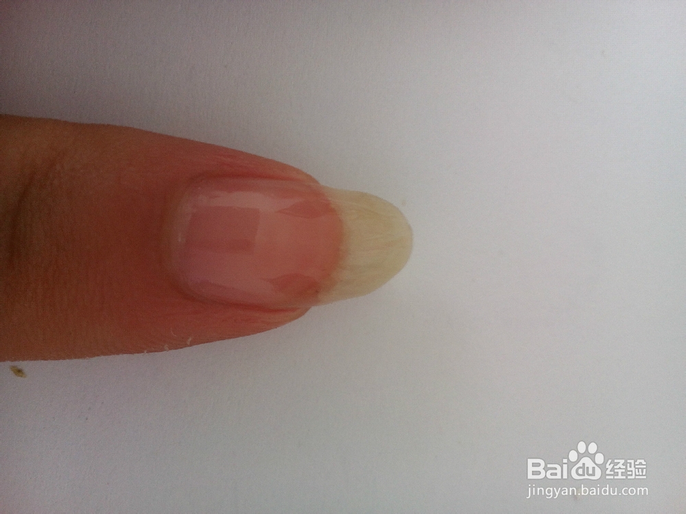 水果盛宴西瓜美甲