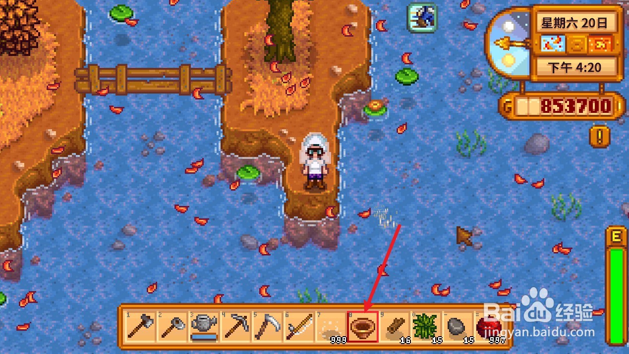 星露谷物语淘盘怎么用