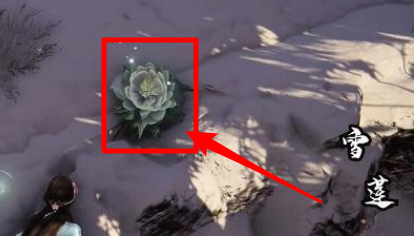 永劫无间雪莲的效果是什么
