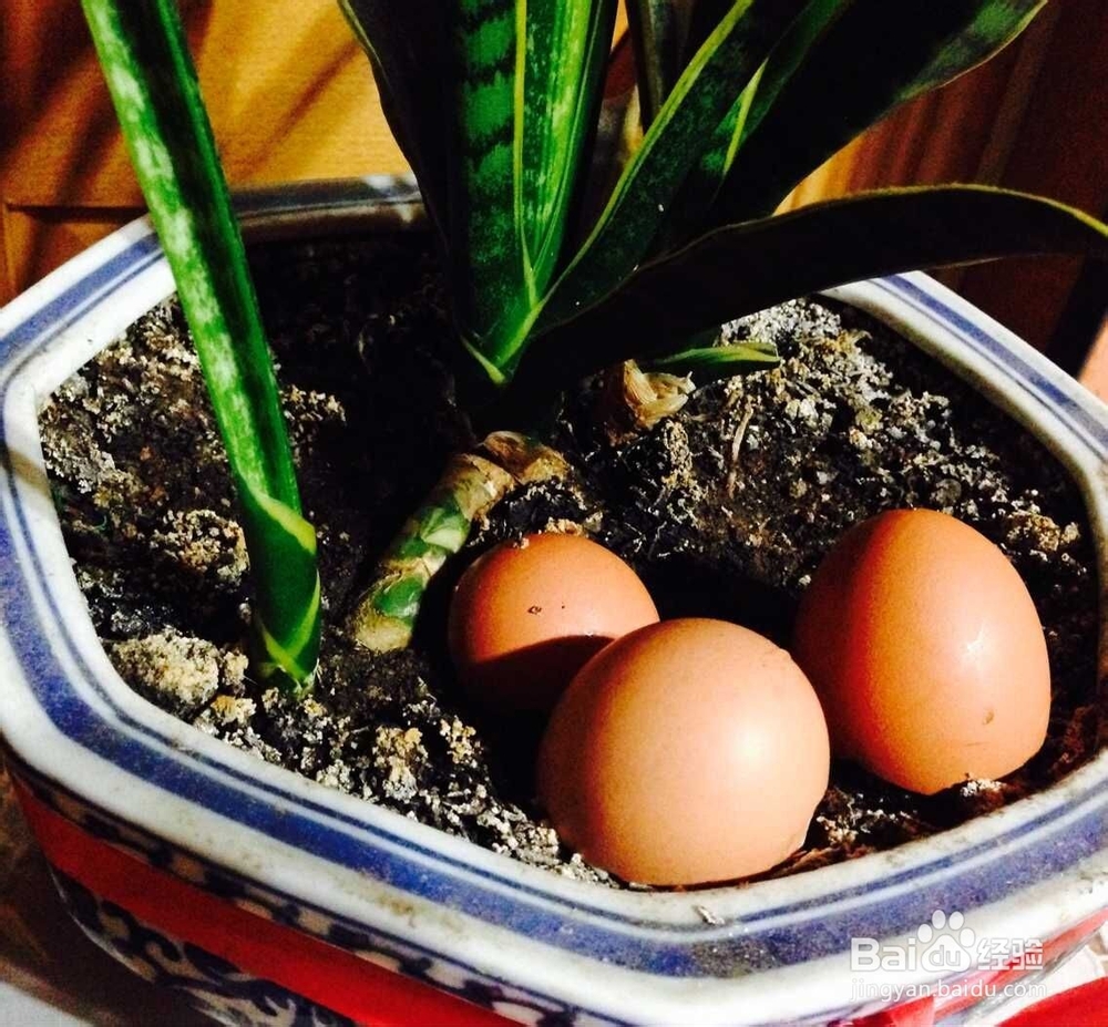 鸡蛋有哪些做法呢？