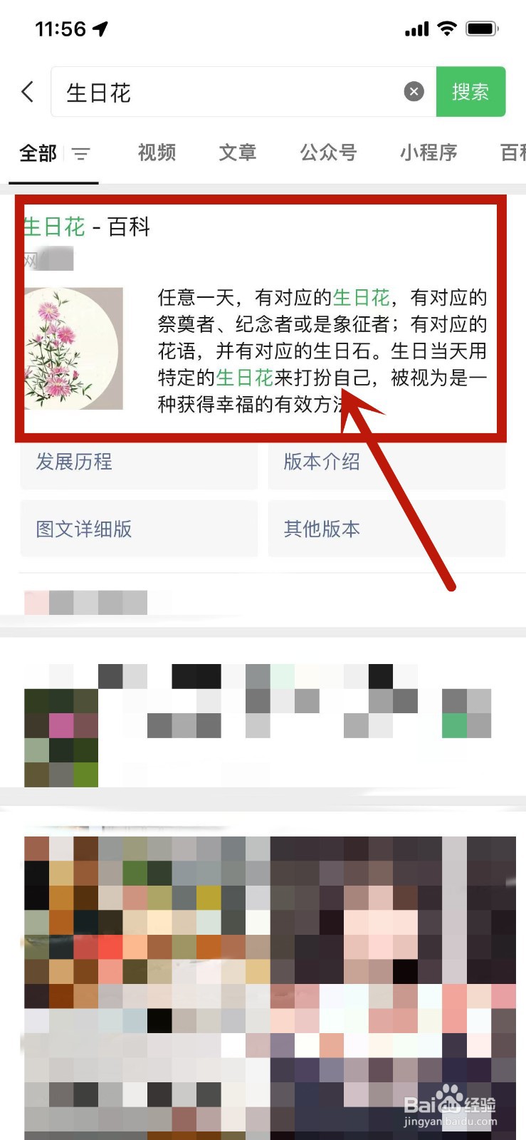 怎么查自己的生日花