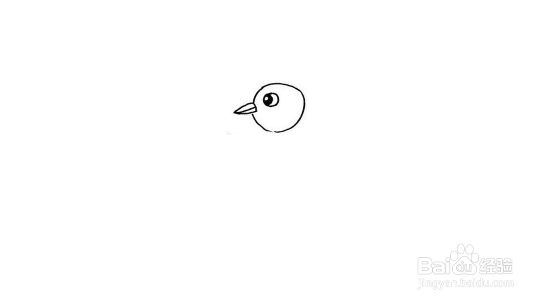 无名小鸟简笔画教程