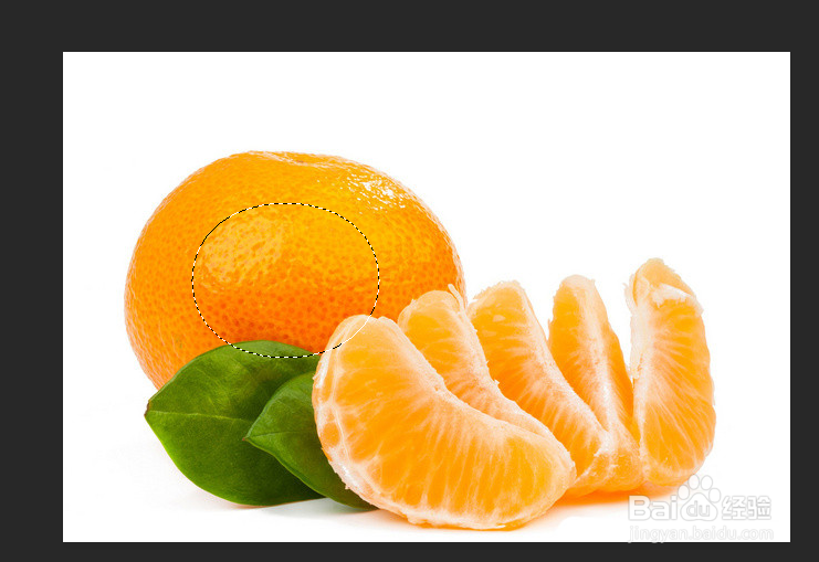 PS中选区的调整