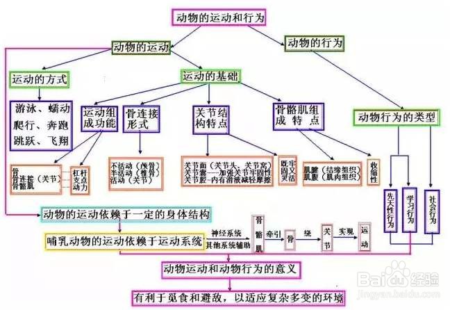 高一学生怎么学好高中生物
