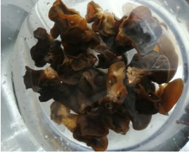 家常饭的简单做法