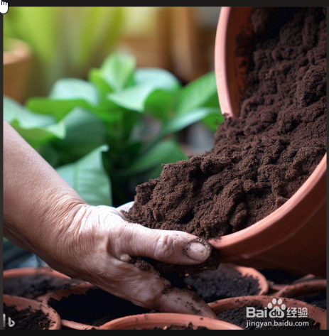 家庭榕树盆景怎么养