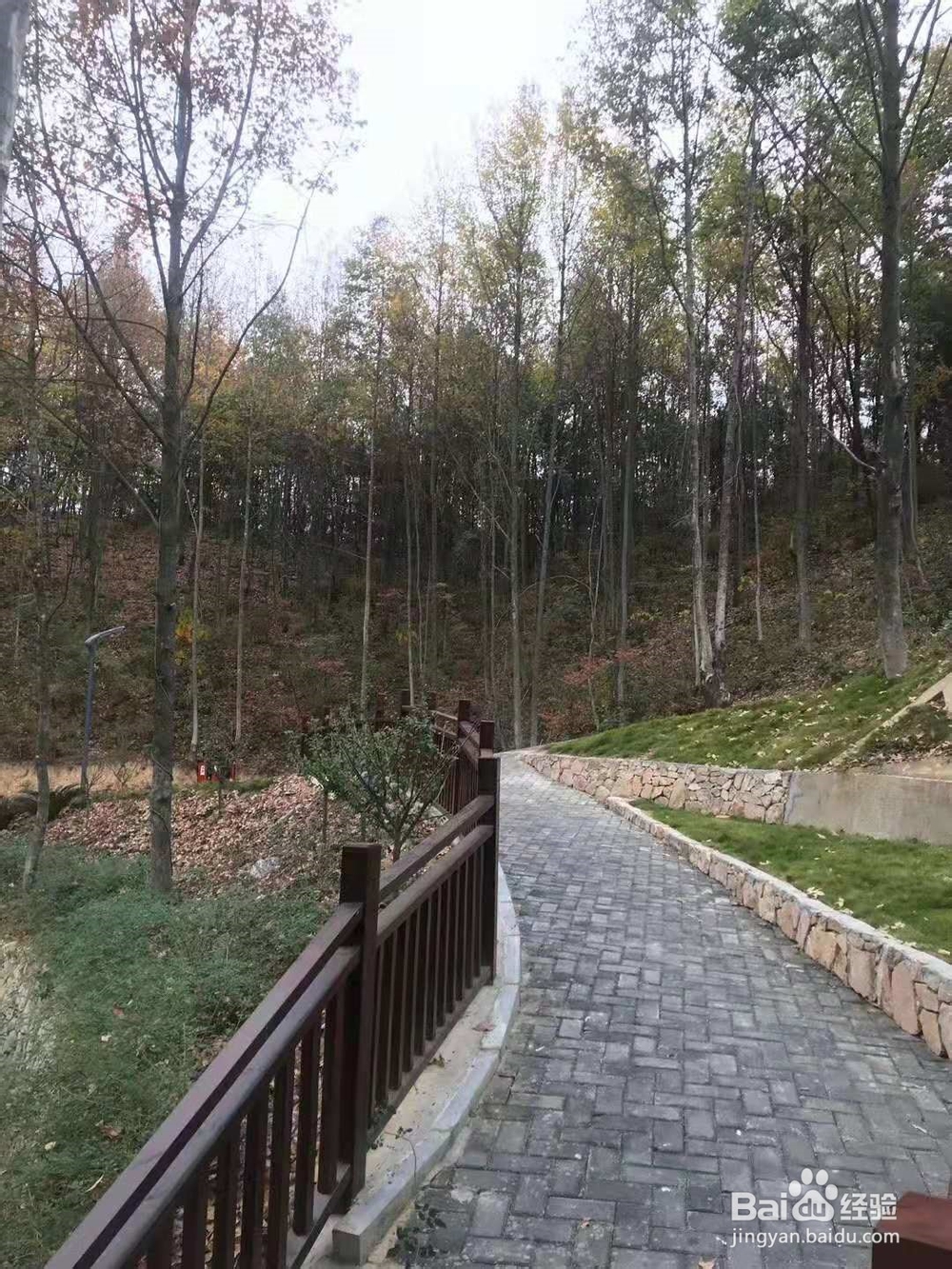 怎样和相亲对象约会
