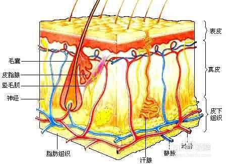 脚臭形成原因及解决办法