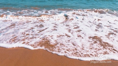 横沙岛一日游攻略