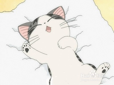 为猫咪打造玩耍天堂