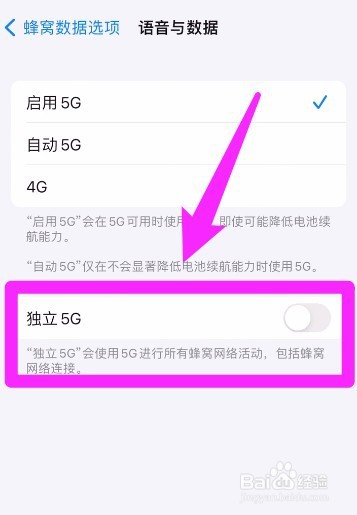 iphone13独立5g如何关闭