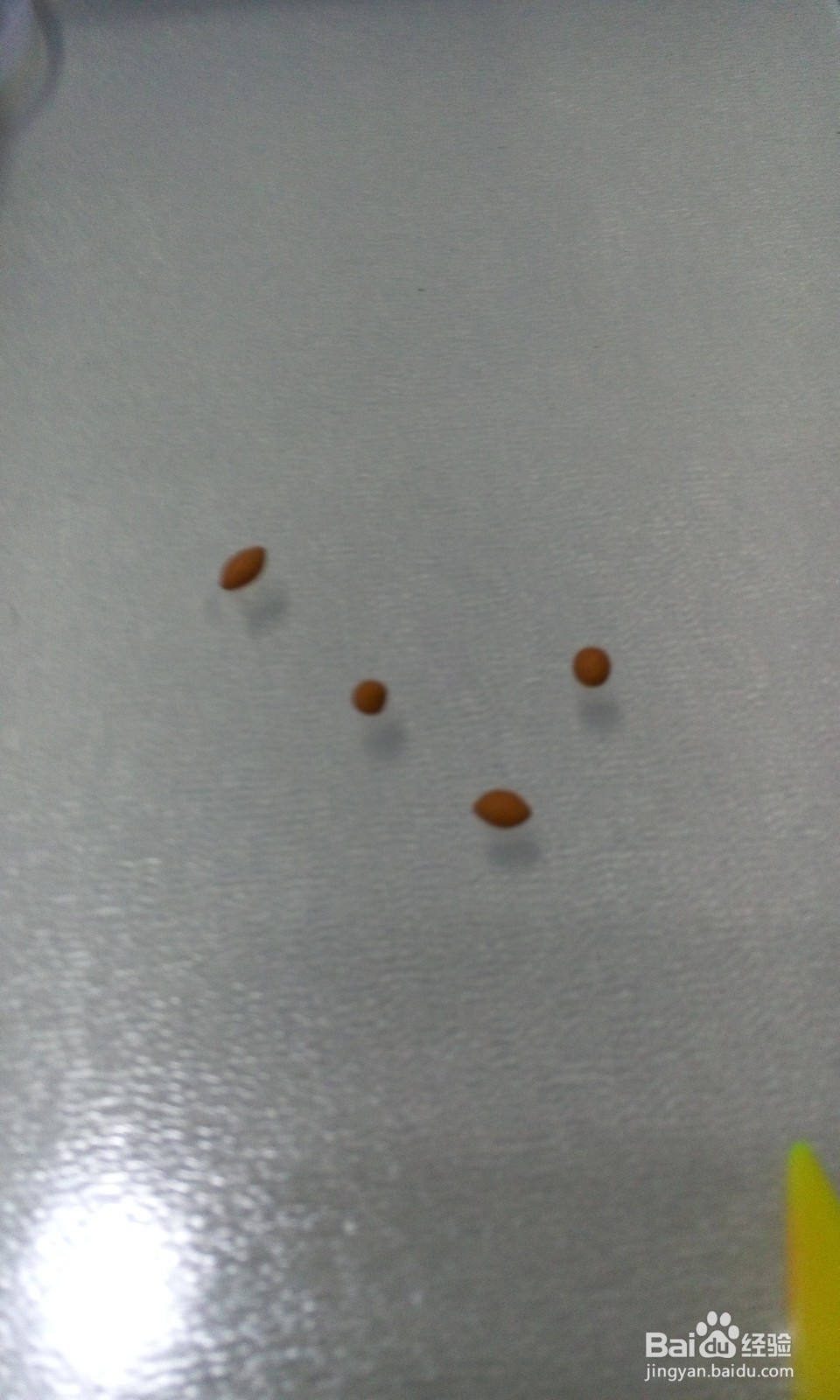 手工制作可爱的长颈鹿