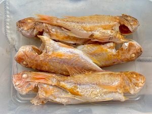 番茄烩红衫鱼的做法