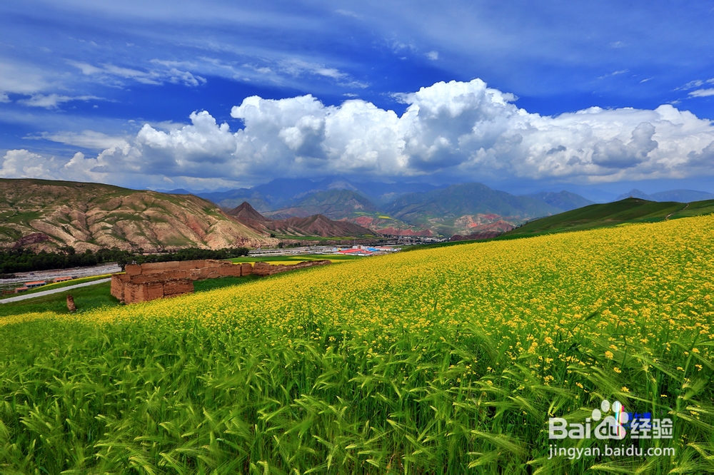山丹军马场旅游攻略