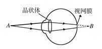 为什么说人的眼睛也是一种照相机