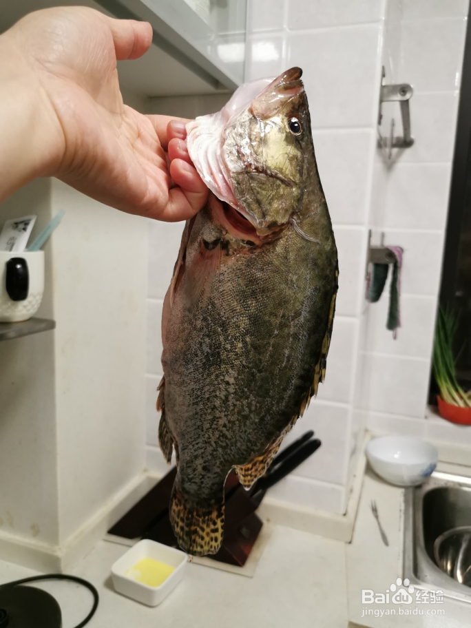 吃不胖的早餐鱼汤面