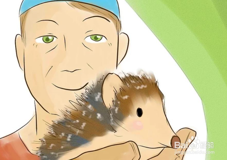 如何照顾一只刺猬