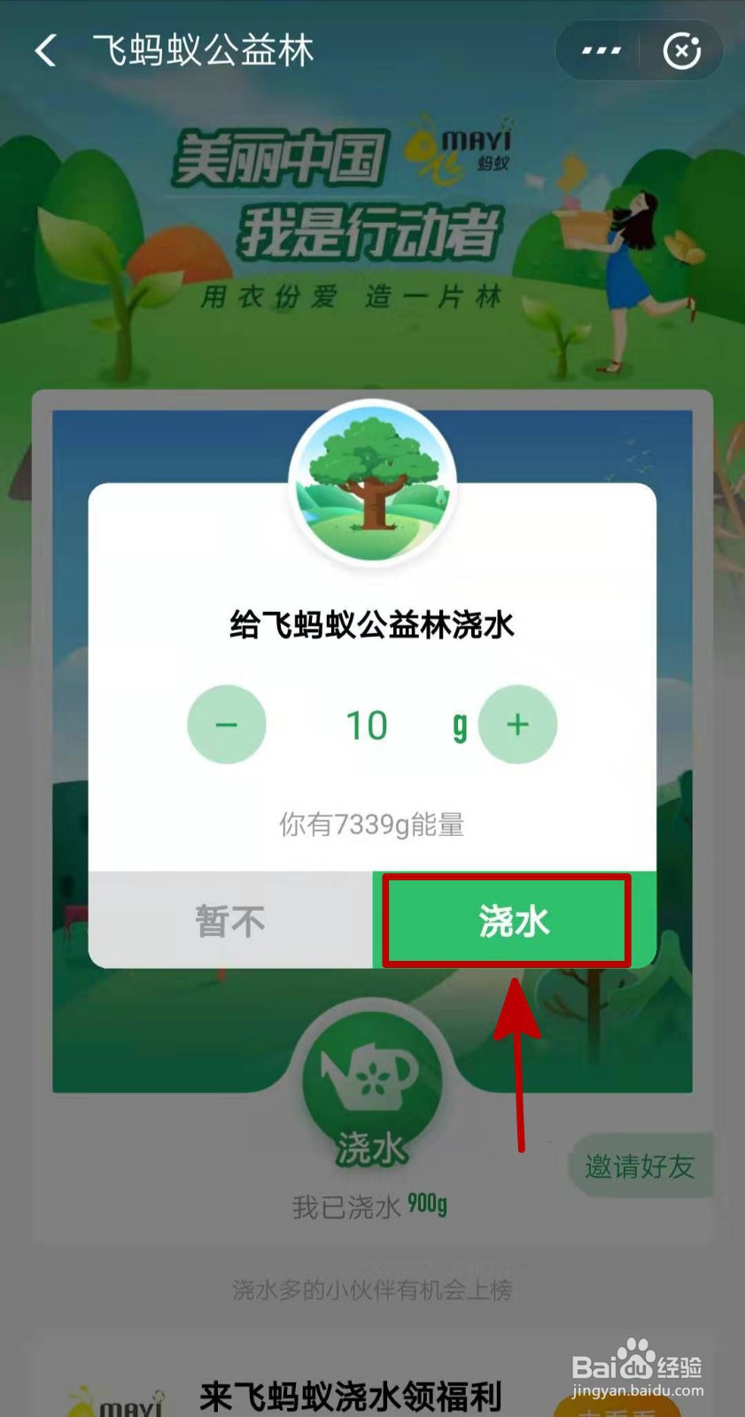 如何给飞蚂蚁公益林浇水