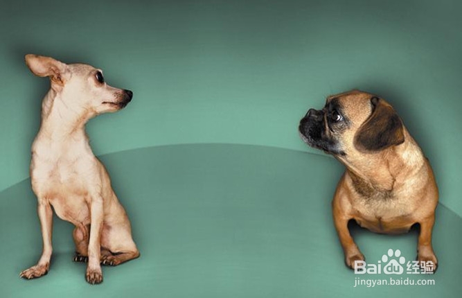 膝关节小腿部分的运动损伤恢复性练习