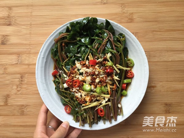 凉拌马齿苋的做法