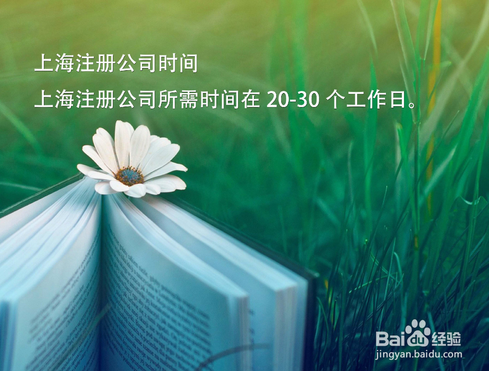 注册公司流程及费用