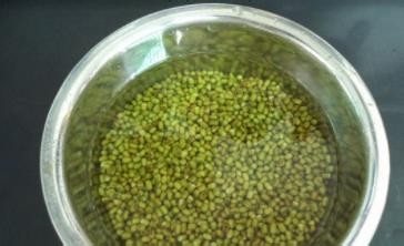 冰糖绿豆饮--饮品教程