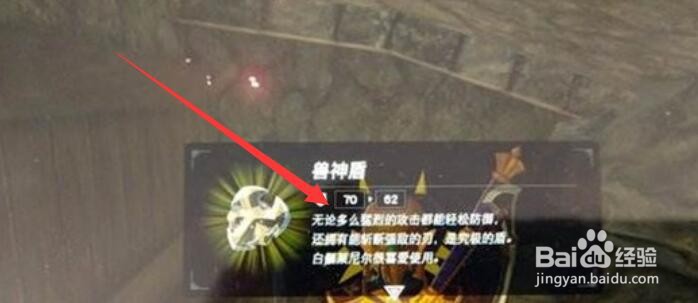 塞尔达传说王国之泪兽神盾怎么获得