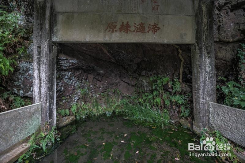 诗画浙江畅游杭州攻略6