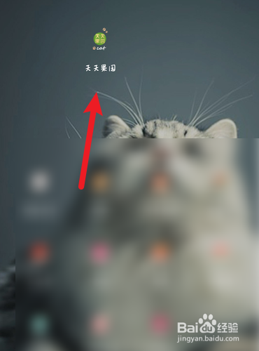 天天果园如何查找智能魔盒的余额