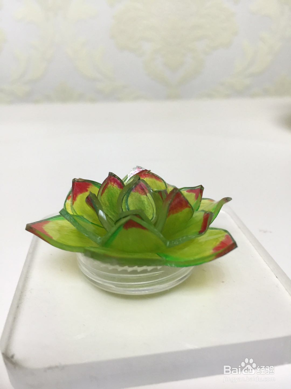 热缩片多肉制作方法