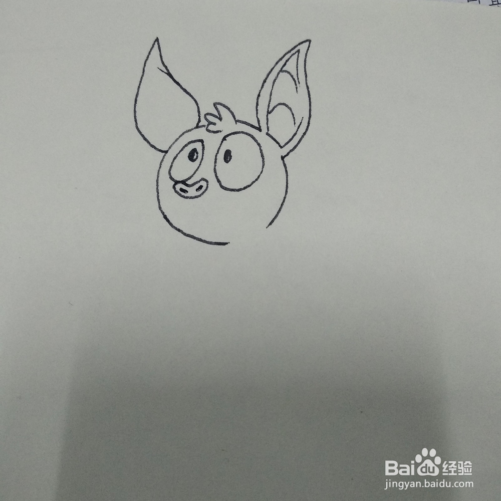 怎么画一只调皮可爱的小蝙蝠卡通儿童简笔画
