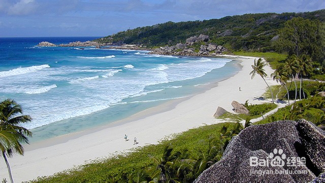 观音山、杨梅坑、金沙湾海边烧烤一天游