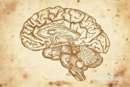 脑袋拼音怎么拼写