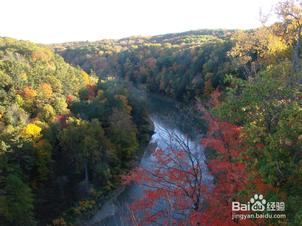 尼亚加拉瀑布-多伦多-渥太华-蒙特利尔游