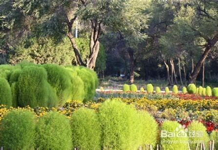 岁数越大越懒散怎么办