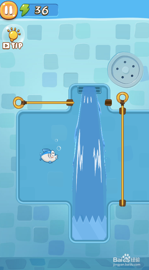 A Wise Fish的Level 10怎样通关?