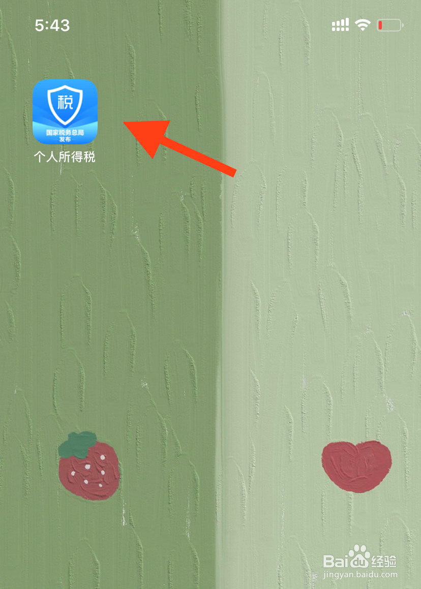 怎么查询个人所得税的纳税明细