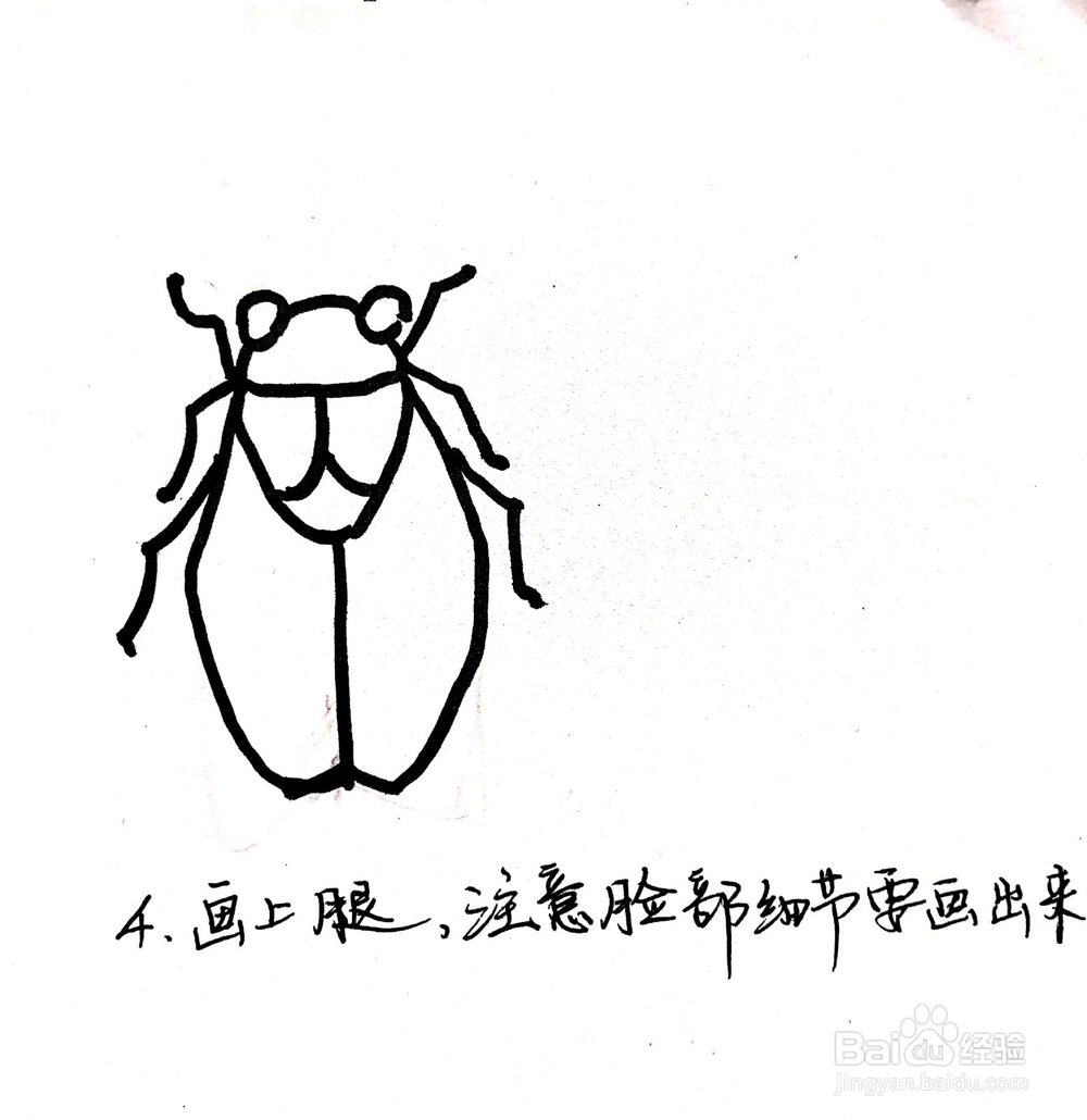 《生活中常见的昆虫》系列之蝉(知了)简笔画