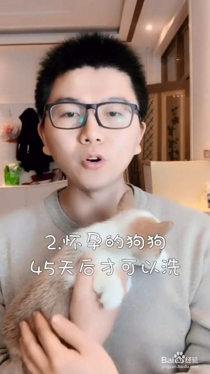 哪些时间段不可以给狗狗洗澡