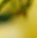 奔四族多吃的九种平价养生食物1