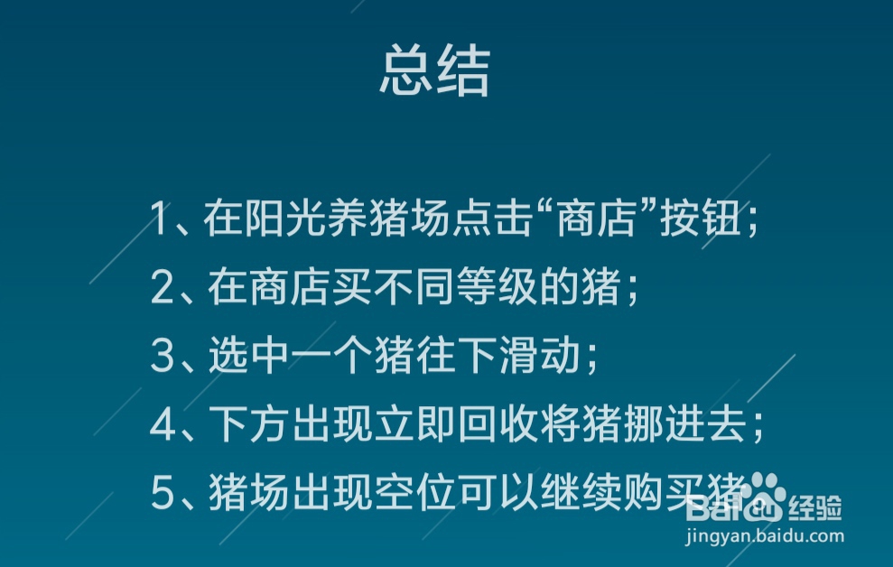 阳光养猪场满了没有合成的怎么办