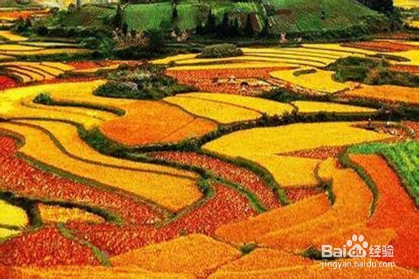 怎样做一个合格的旅游者