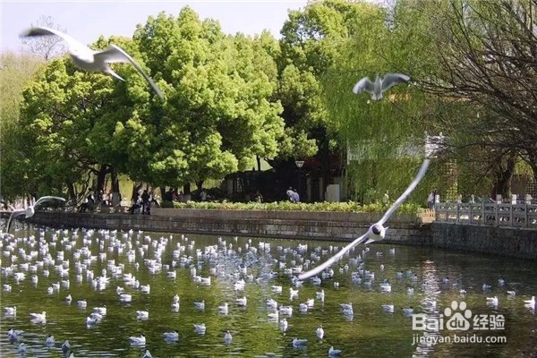 夏天旅行攻略—清凉一夏，最适合夏天的旅行地