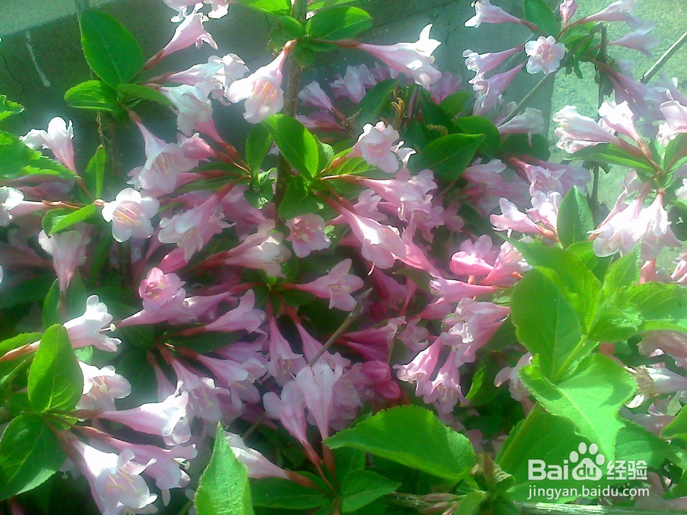 年轻人怎样对待自己的职业和工作