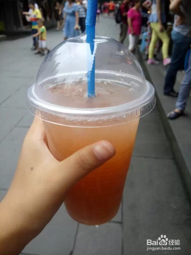 成都一日游计划