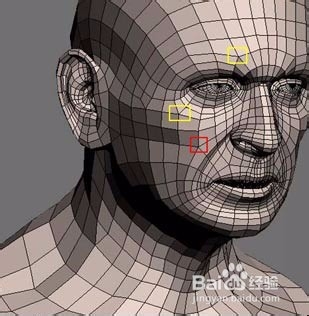 模型布线理论-第2章