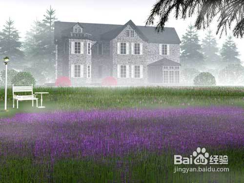 【夏日海边游】夏威夷旅游攻略