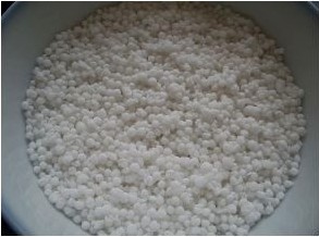 木瓜椰汁西米露